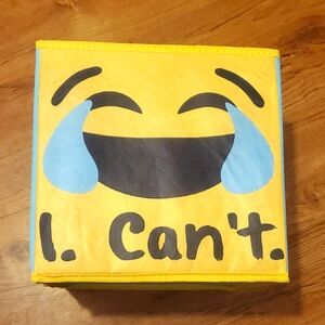 1 Collapsible Storage Box Cube Bin NWNT